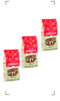 Leroux / CHICOREE GRAINS