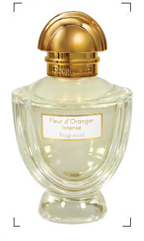 Fragonard / FLEUR D'ORANGER INTENSE