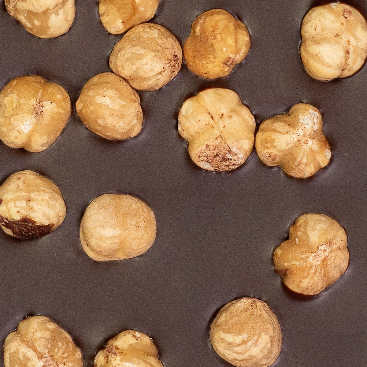 TABLETTE DE CHOCOLAT NOIR NOISETTES ENTIÈRES DU PIÉMONT