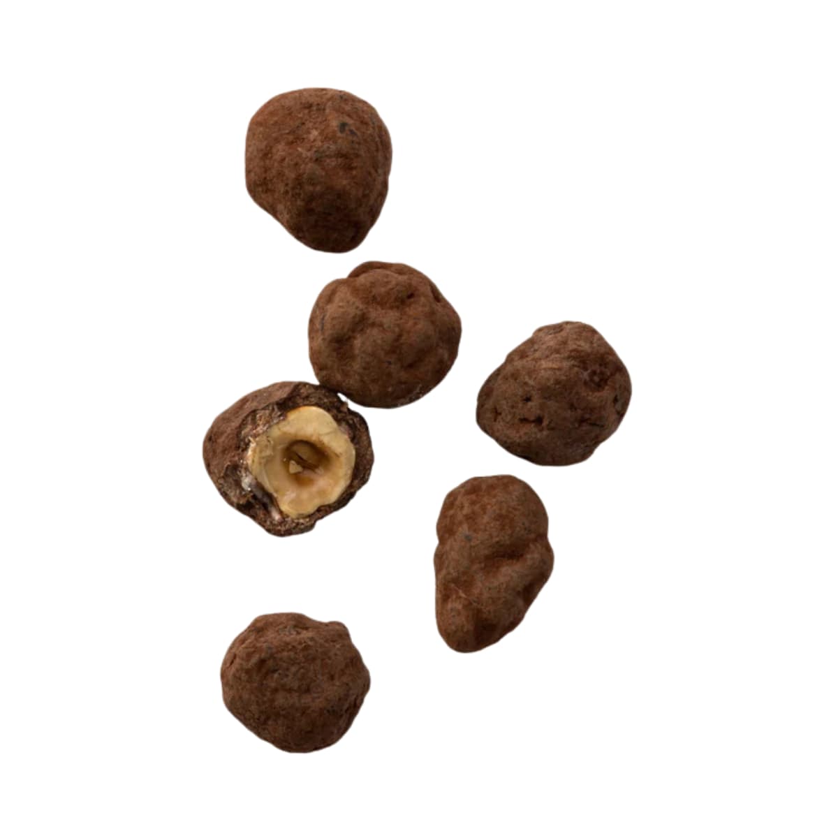 FOLIES DE L'ECUREUIL