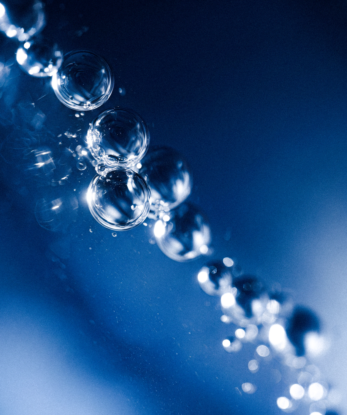 EAU FLORALE DE BLEUET BIO