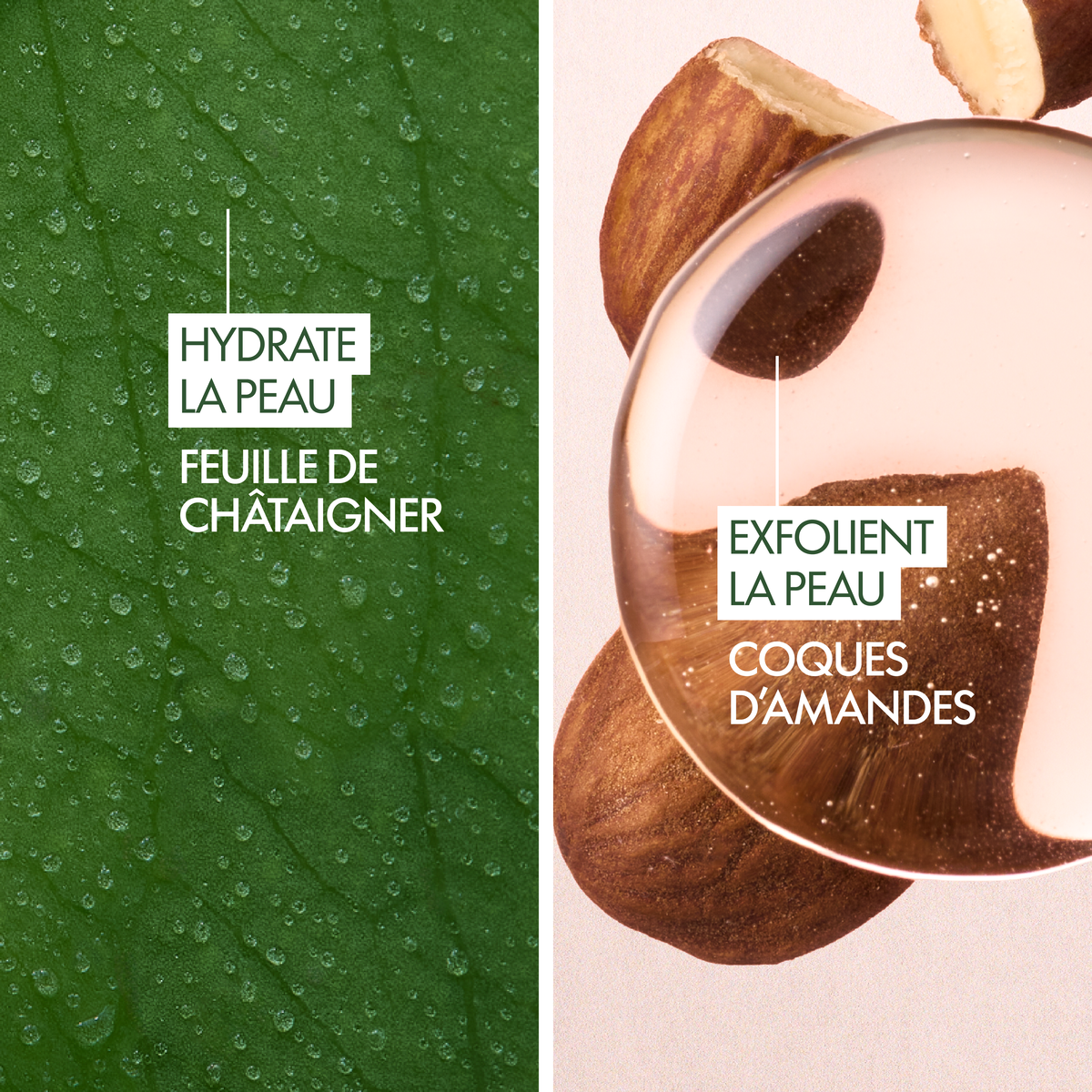 SAVON EXFOLIANT LISSANT L’OR VÉGÉTAL