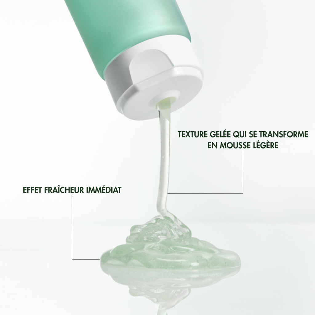 GEL NETTOYANT PURIFIANT
