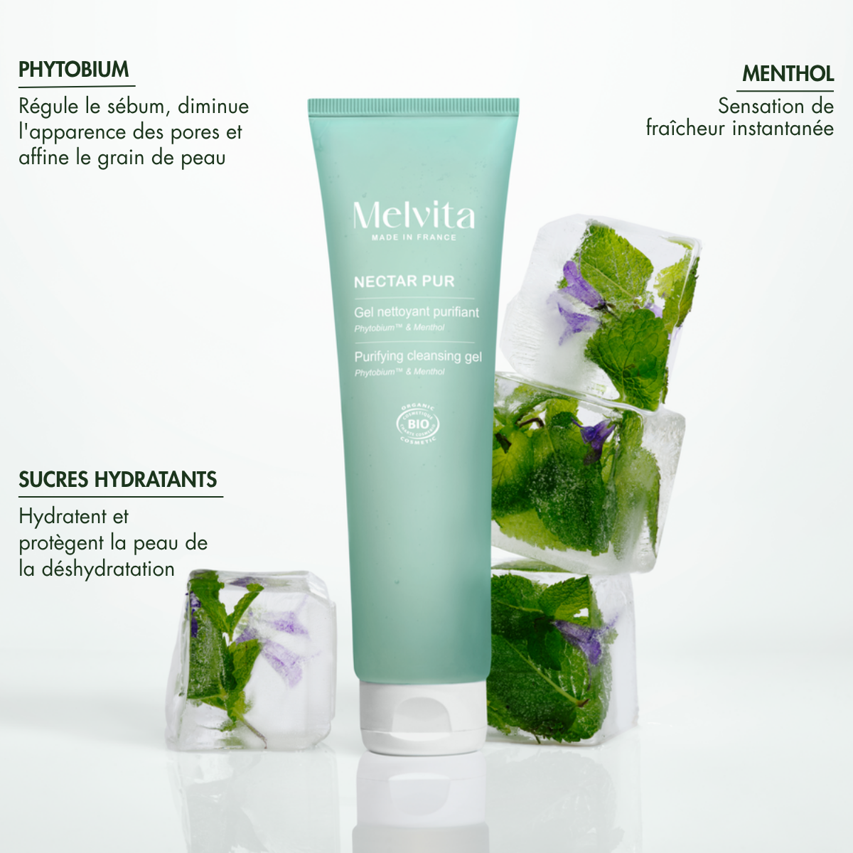 GEL NETTOYANT PURIFIANT