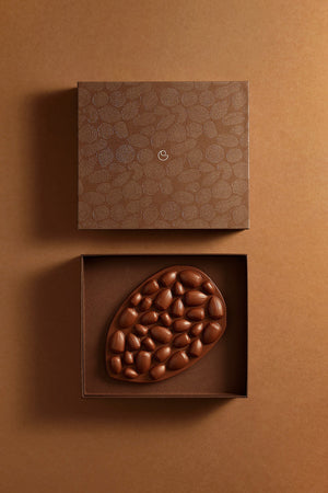 TABLETTE MENDIANT NOISETTE CHOCOLAT AU LAIT