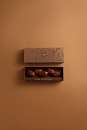 BARRE PISTACHE CHOCOLAT AU LAIT