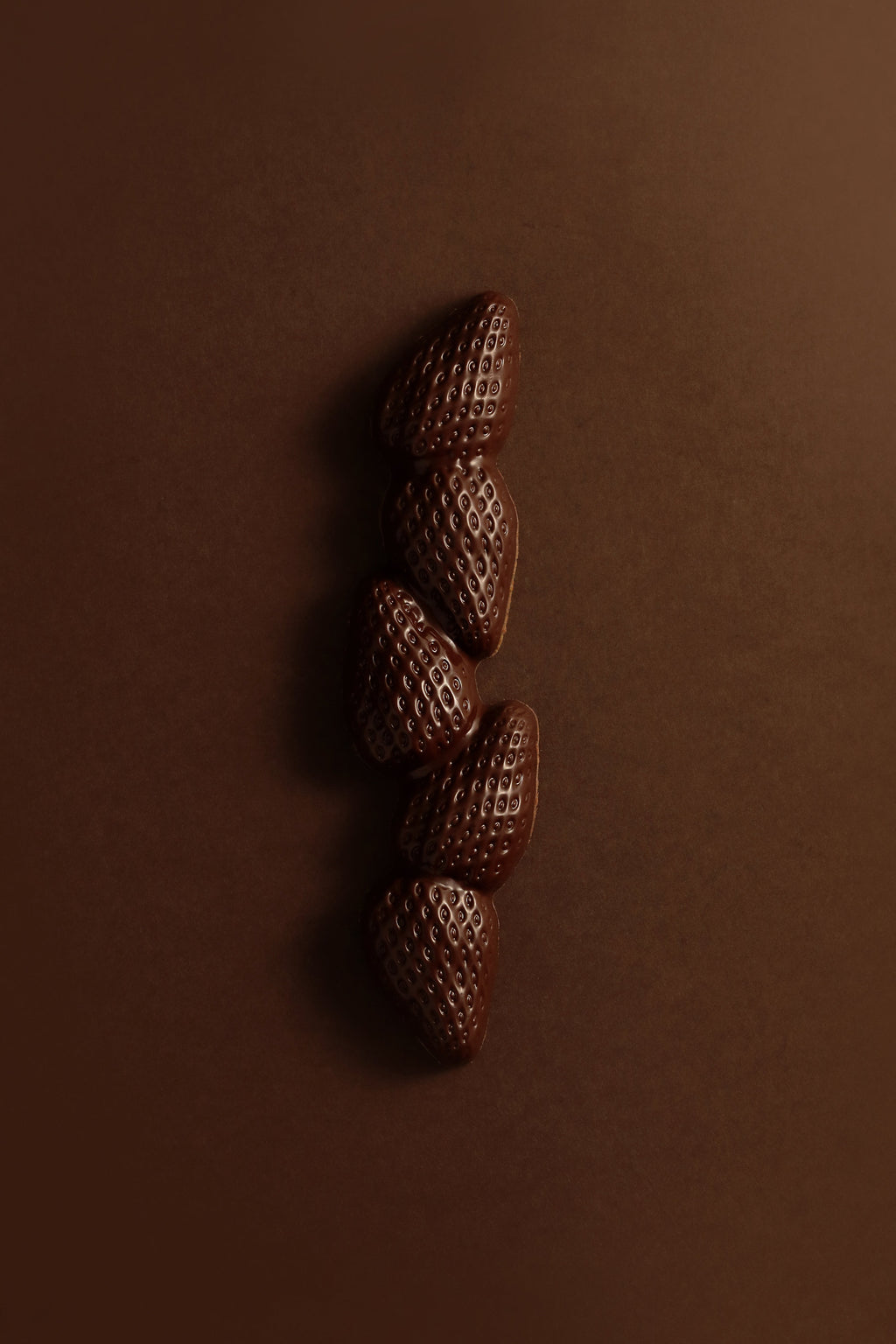 BARRE FRAISE CHOCOLAT NOIR