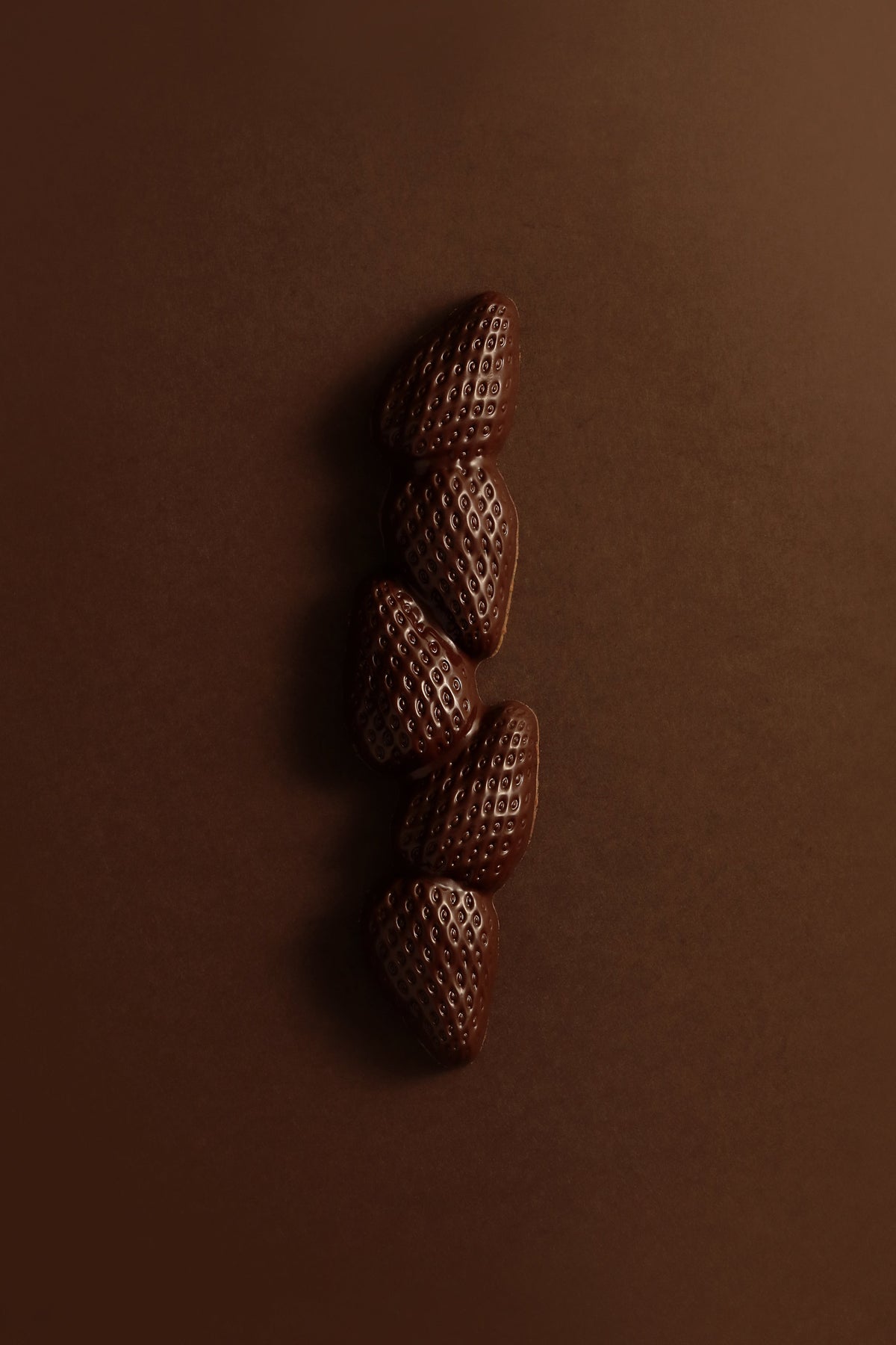 BARRE FRAISE CHOCOLAT NOIR