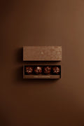 ROCHER NOISETTE 4 PIÈCES CHOCOLAT NOIR
