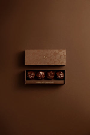 ROCHER NOISETTE 4 PIÈCES CHOCOLAT NOIR