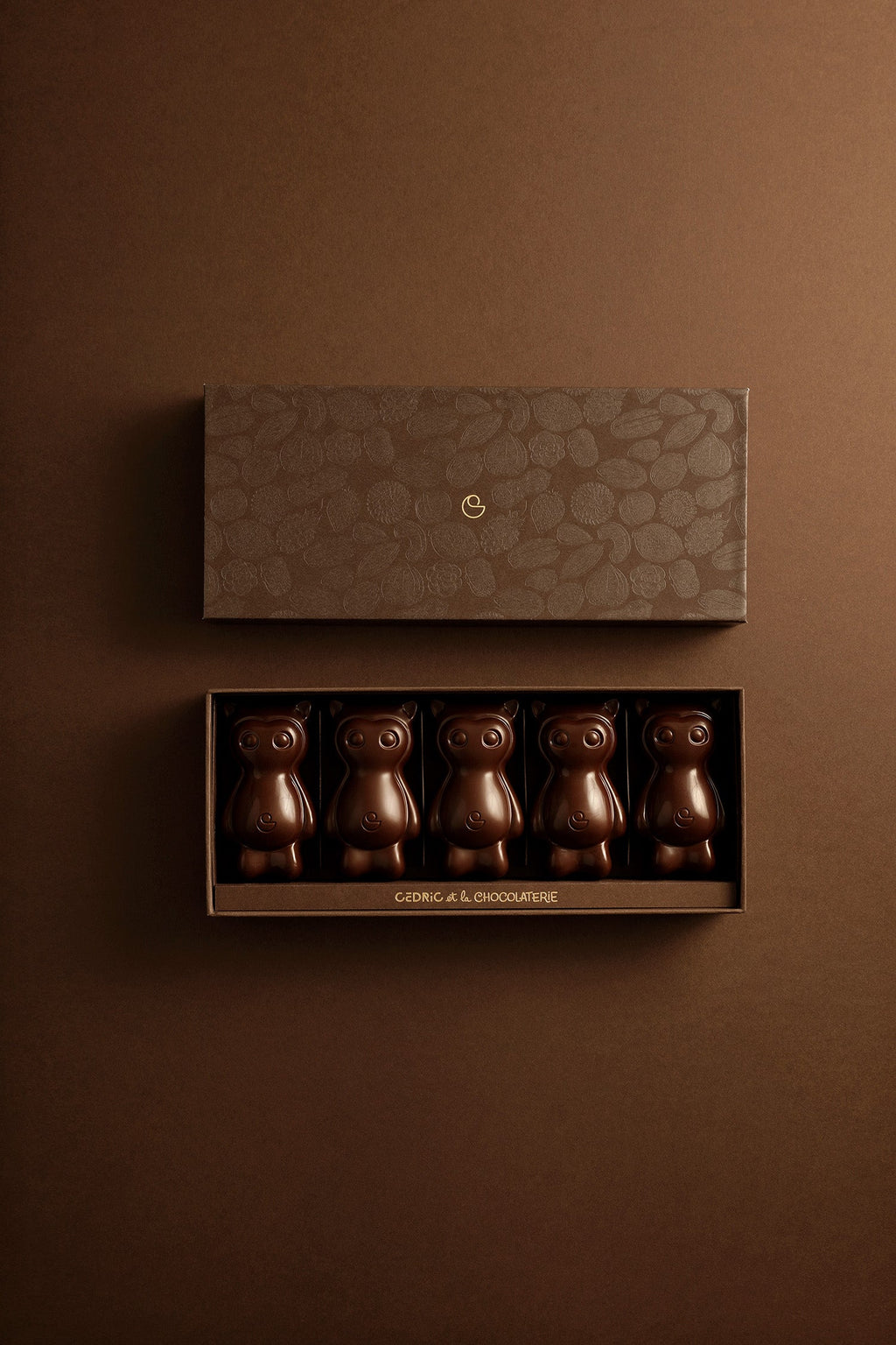 CEDRICO VANILLE 5 PIÈCES CHOCOLAT NOIR