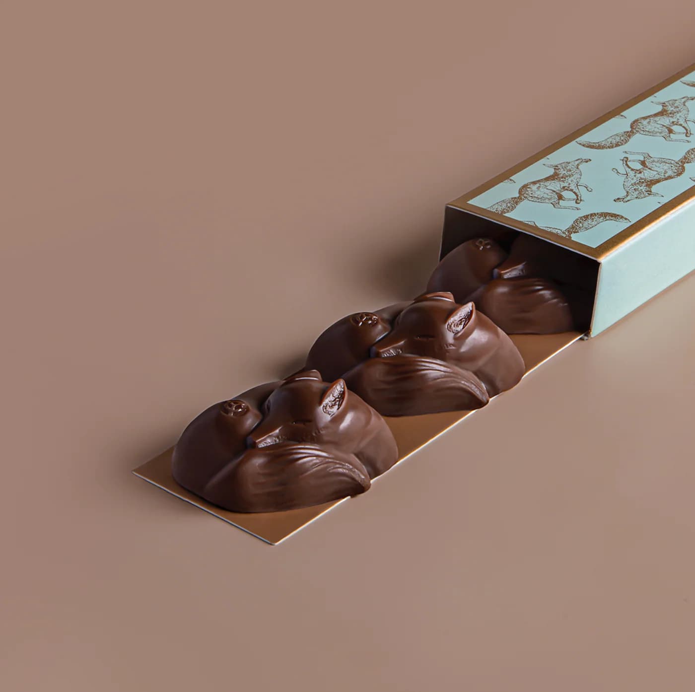 Terrier noir praliné coco