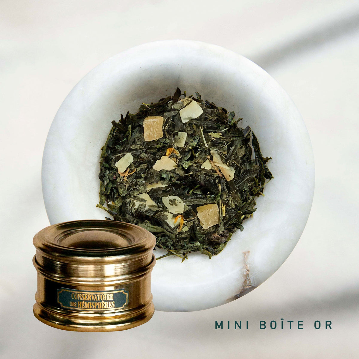 CHICHI DE SAINT-JACQUES