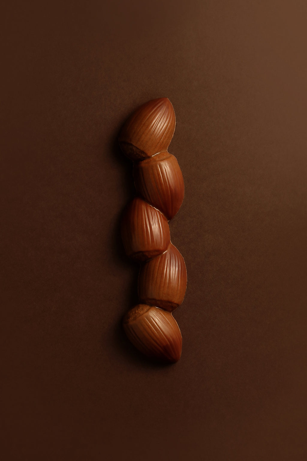 BARRE NOISETTE CHOCOLAT NOIR