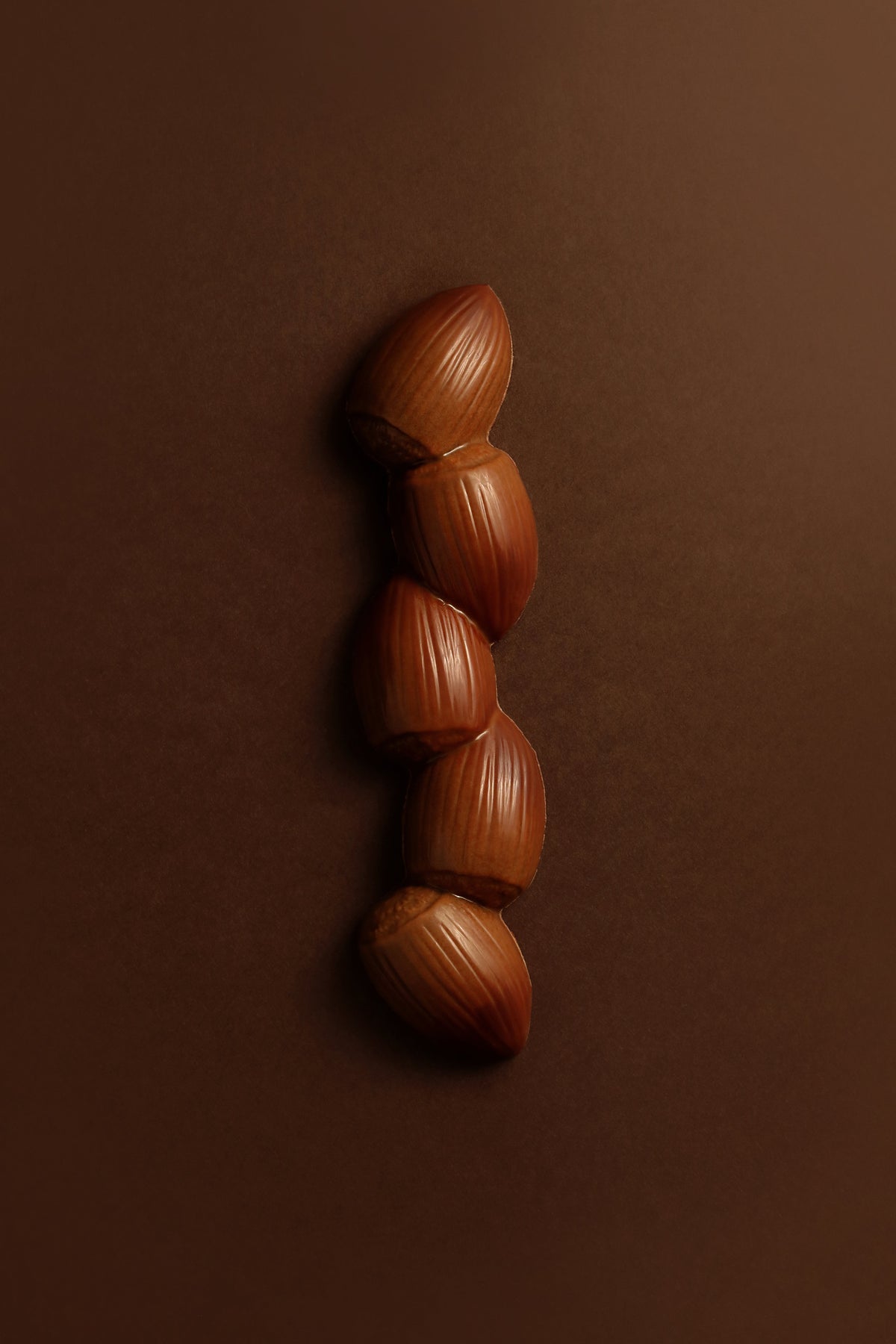 BARRE NOISETTE CHOCOLAT NOIR
