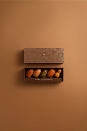 BONBON TROMPE L'ŒIL - 5 PIÈCES CHOCOLAT AU LAIT