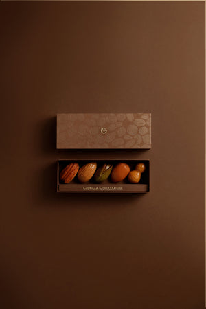 BONBON TROMPE L'ŒIL - 5 PIÈCES CHOCOLAT NOIR
