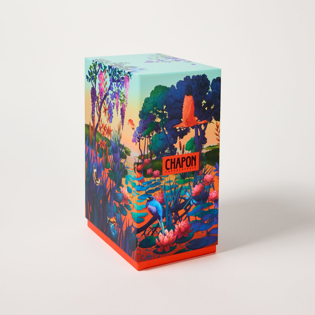 COFFRET 10 TABLETTES