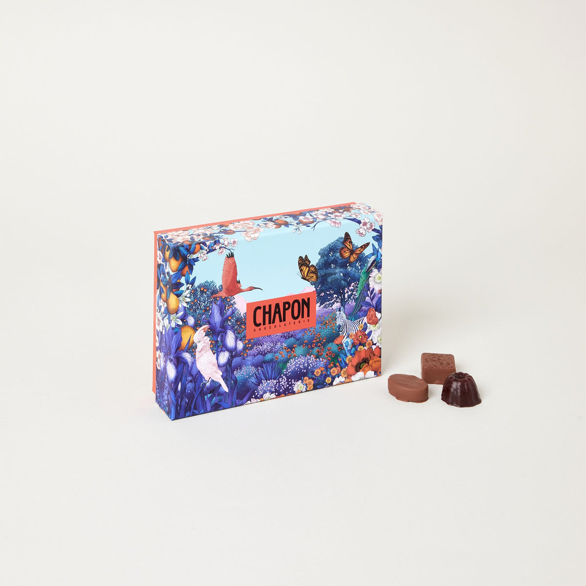COFFRET 24 CHOCOLATS - JARDIN MERVEILLEUX