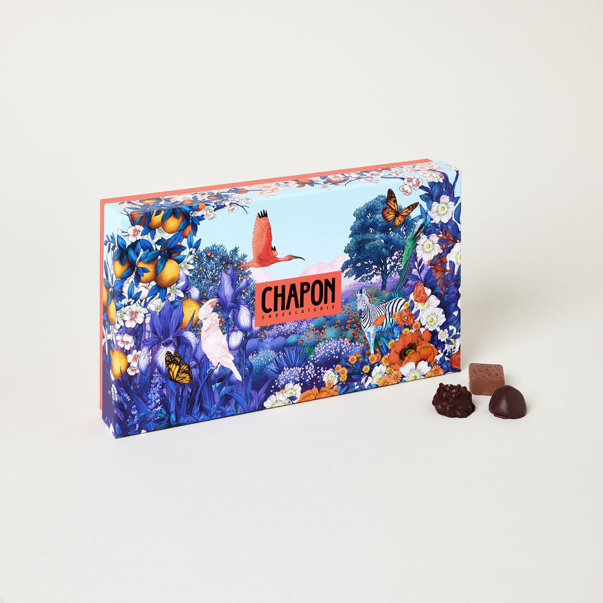 COFFRET 56 CHOCOLATS - JARDIN MERVEILLEUX