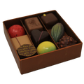 CHOCOLAT ASSORTIMENTE 9PIECES