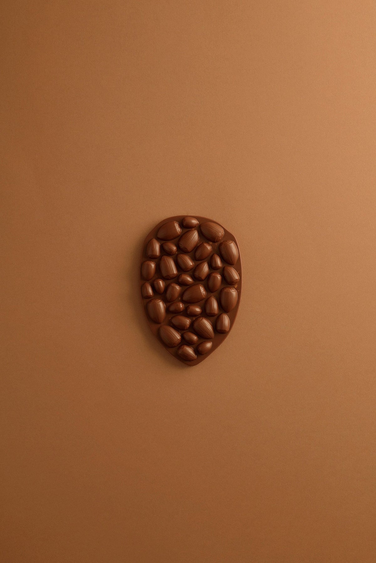 TABLETTE MENDIANT NOISETTE CHOCOLAT AU LAIT