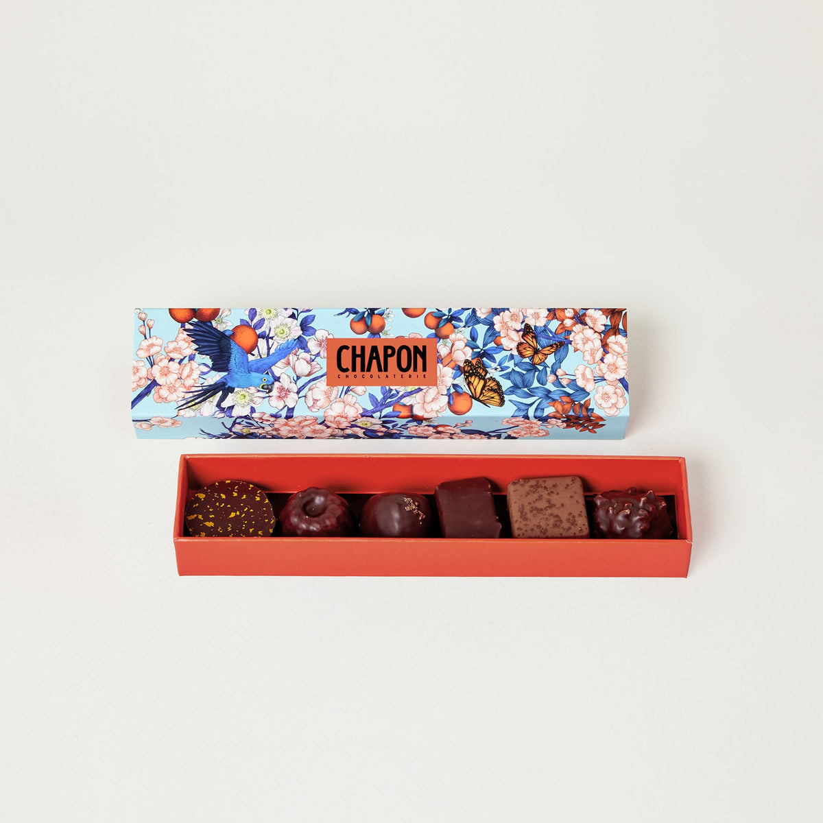 PLUMIER 6 CHOCOLATS - JARDIN MERVEILLEUX