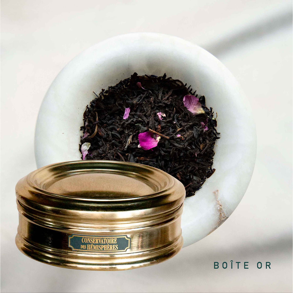 ROSE DE LANCASTRE BIO