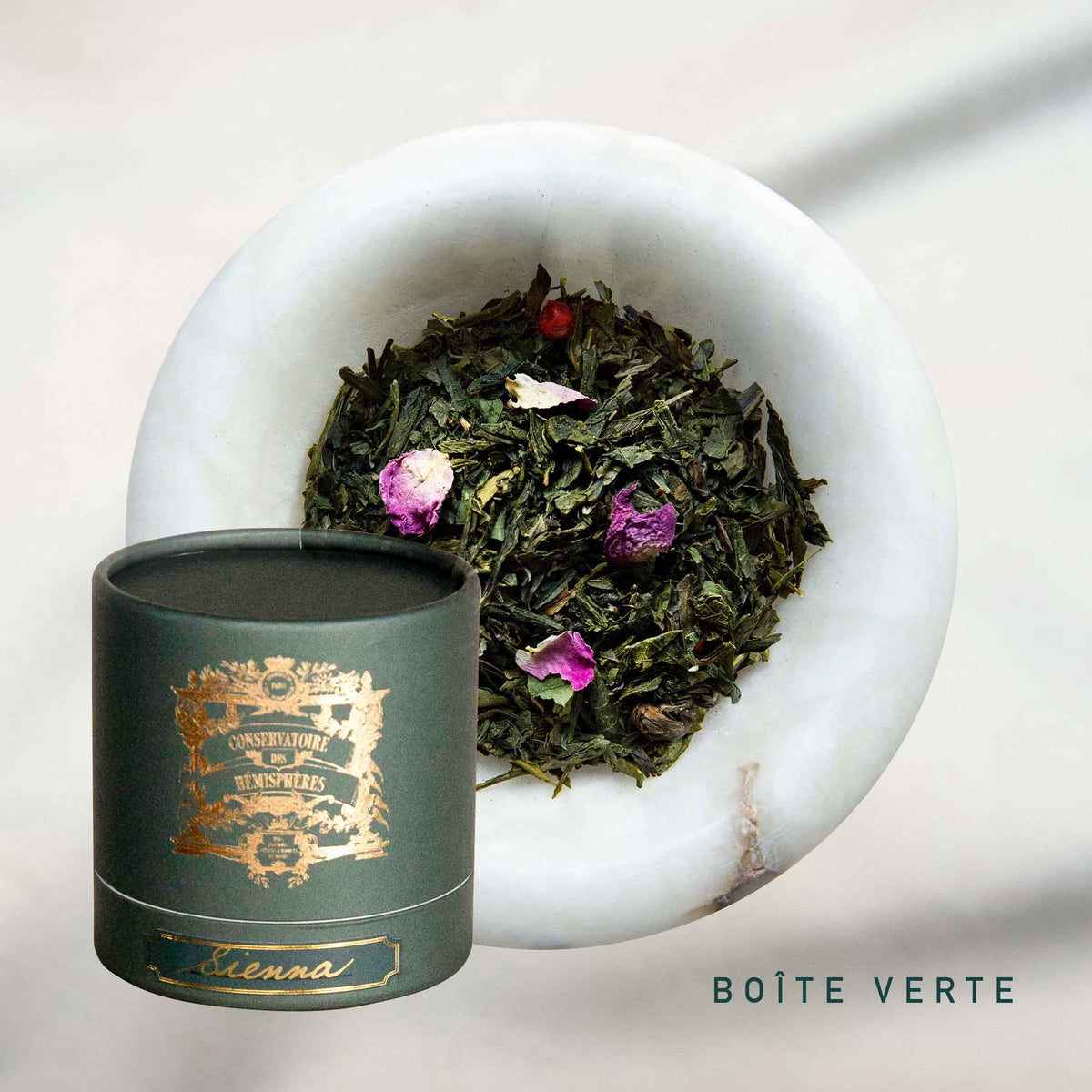 ROSIERS DE L'ATLAS BIO