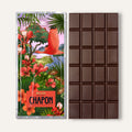 TABLETTE NOIR BELIZE 73%