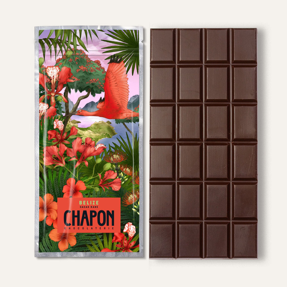 TABLETTE NOIR BELIZE 73%