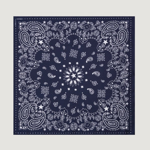 Bandana en Soie - Petit Modèle