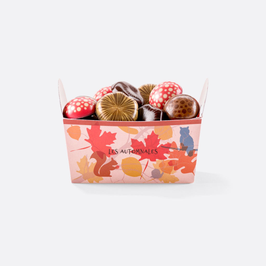 Fabrice Gillotte - CHAMPIGNONS EN CHOCOLAT - 250 G