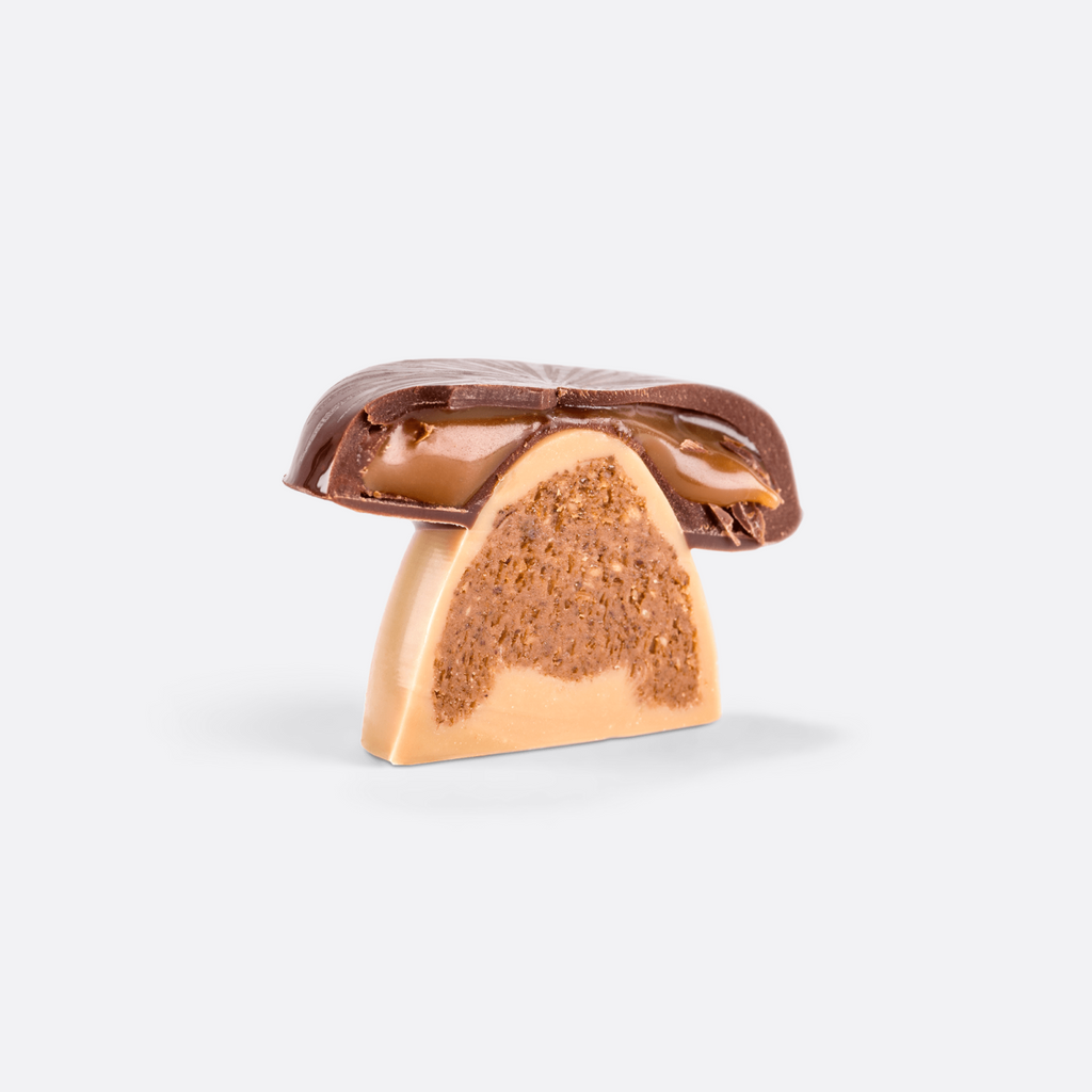 Fabrice Gillotte - CHAMPIGNONS EN CHOCOLAT - 250 G