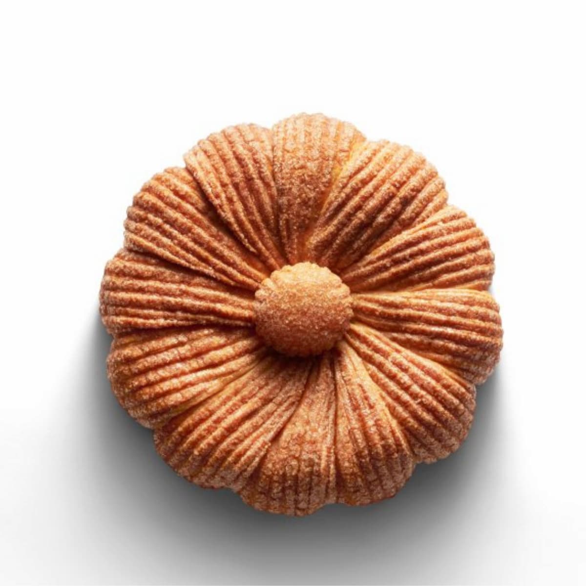 FEVE 2026_ Cheval Blanc Paris