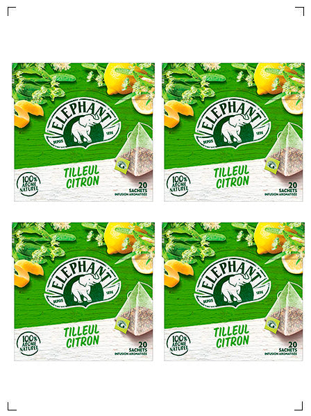 Elephant TILLEUL CITRON, ティヨル シトロン ハーブティー 4箱セット エレファン