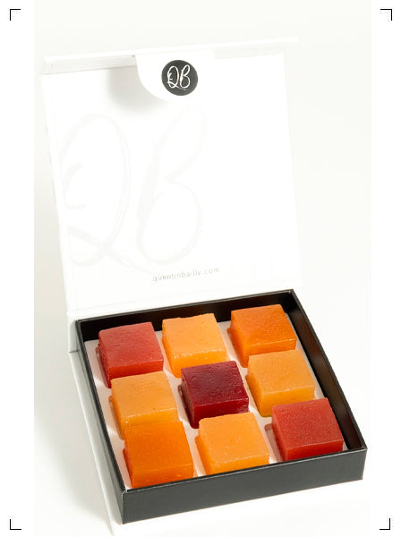Quentin Bailly 9 DOUCEUR FRUITE, パット ド フリュイ 9個入り カンタン バイィ