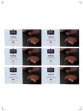 Monoprix gourmet TORTINA, トルティナ 6箱セット モノプリ グルメ