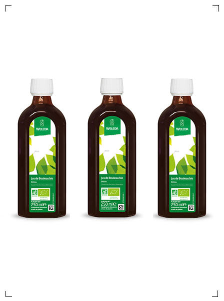 Weleda JUS DE BOULEAU, 白樺 エリキシール プレーン 砂糖不使用タイプ 3本セット ヴェレダ