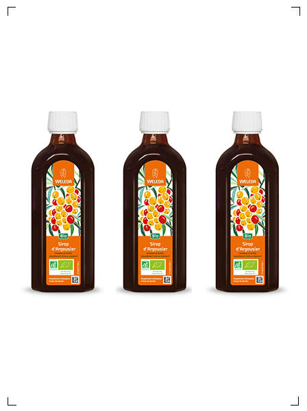 Weleda SIROP D'ARGOUSIER, ヒッポファン エリキシール 3本セット ヴェレダ