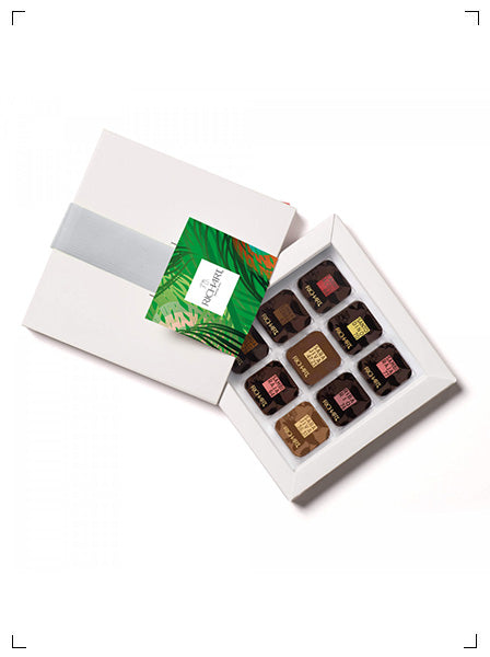 Richart ULTRA-MINCES CAMINO 36 PALETS, ウルトラマンス カミノ 36枚入り リシャール