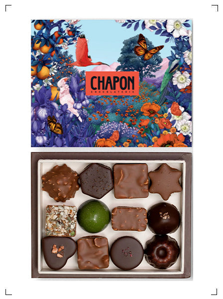 Chapon COFFRET 24 CHOCOLATS, コフレ ショコラ 24個入り シャポン