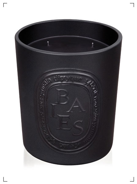 Diptyque BOUGIE INTERIEUR ET EXTERIEUR BAIES, キャンドル ベ ディプティック