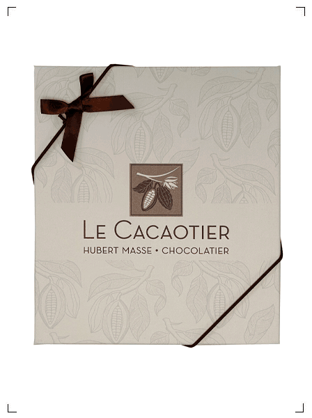 Le Cacaotier COFFRET 49 CHOCOLATS, ボンボンショコラ アソート 49個入り ル カカオティエ