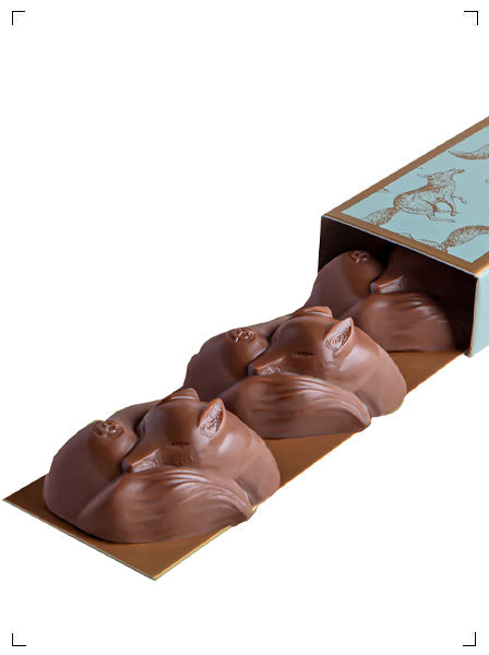 Yann Couvreur TERRIER PISTACHE, テリエ ピスタチオ ヤン クヴルー