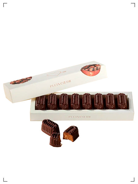 Pleincoeur GUIMAUVES CHOCOLAT ET NOISETTE, チョコレートとヘーゼルナッツのギモーヴ プラン クール