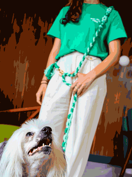 Le Bon Marche LA LAISSE JEROME BY JEANETTE DOGS, ジャネットドッグス ジェローム リード ル ボン マルシェ