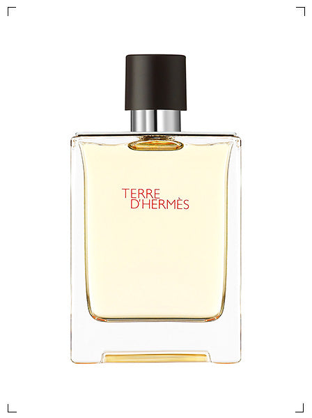 Hermes TERRE D'HERMES / EDT SPRAY, テール ド エルメス オードトワレ / スプレー エルメス