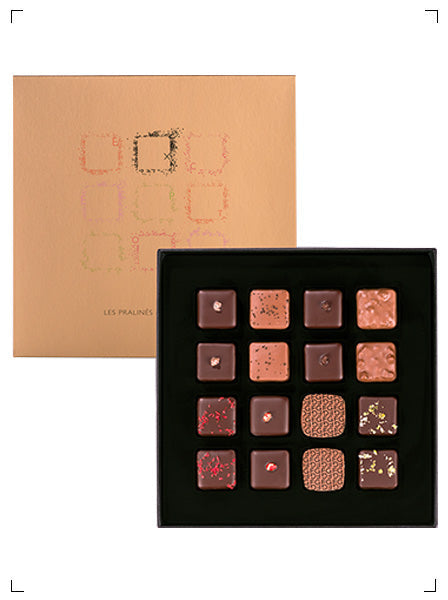 Fabrice Gillotte LES PRALINES D'EXCEPTION 16PIECES, プラリネ ショコラ 16個入り ファブリス ジロット