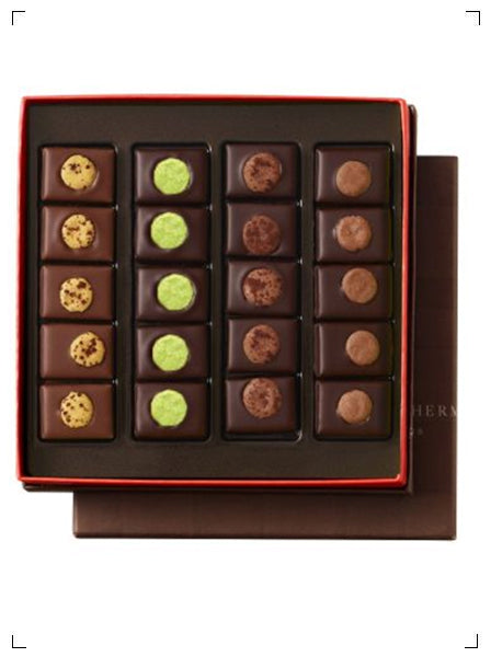 Pierre Herme 20 CHOCOLAT AU MACARON, ショコラ オ マカロン 20個入り ピエール エルメ
